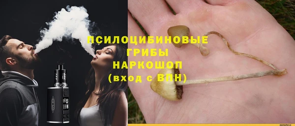 СК Арсеньев