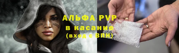 ешки Аркадак