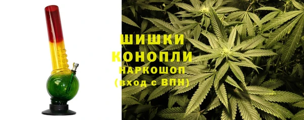 ешки Аркадак