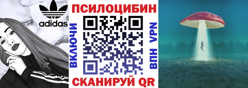 Галлюциногенные грибы мухоморы  omg как зайти  Ахтубинск  сайты даркнета клад  дарнет шоп 